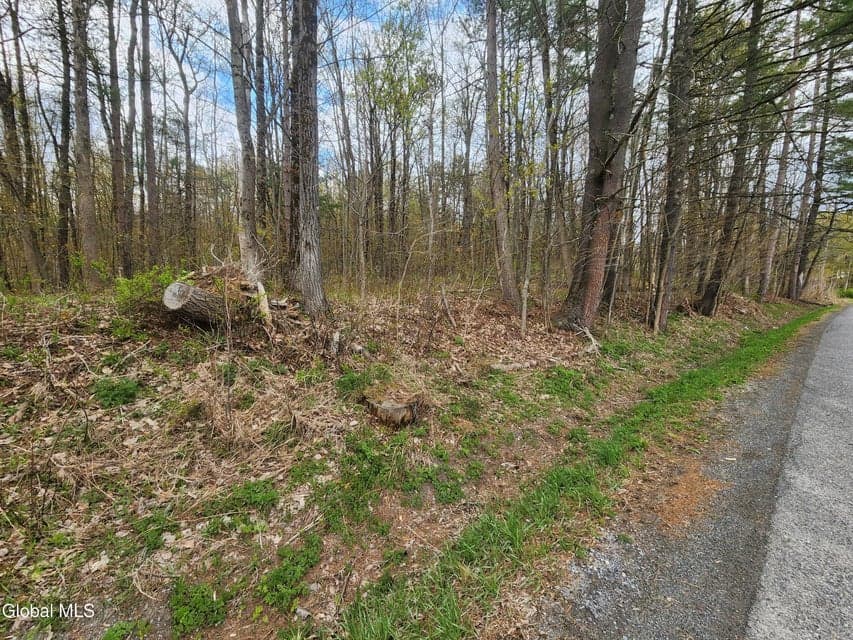 L 27 NY 2, Grafton, NY 12082, photo 1