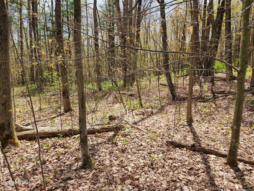 L 27 NY 2, Grafton, NY 12082, photo 2