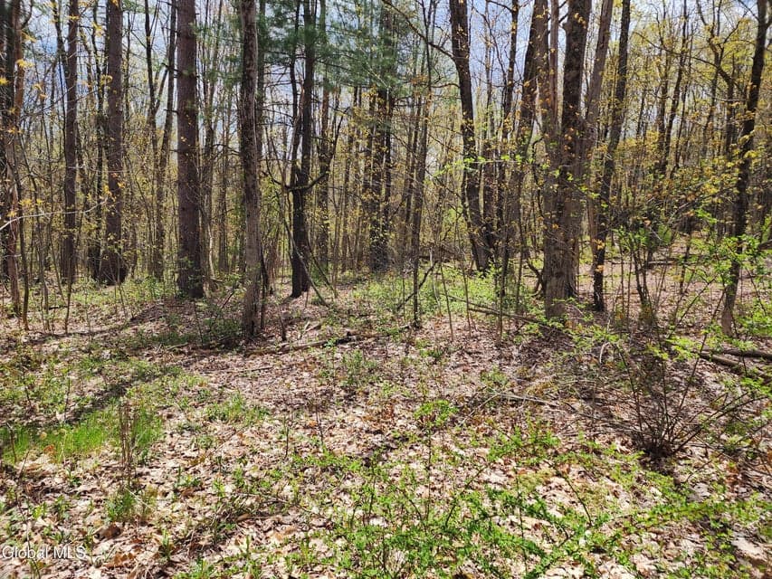 L 27 NY 2, Grafton, NY 12082, photo 3