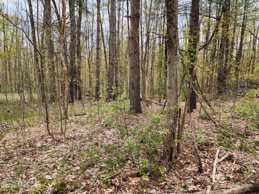 L 27 NY 2, Grafton, NY 12082, photo 4