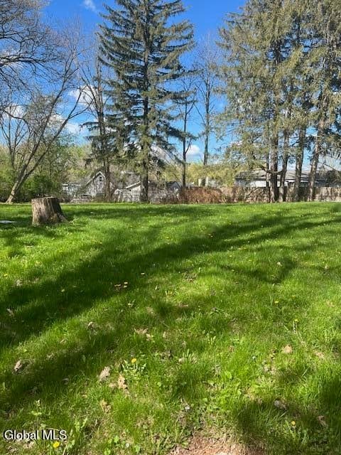 .22 Ac. Colonial Avenue, Schenectady, NY 12304, photo 3