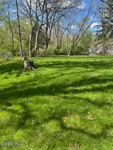 .22 Ac. Colonial Avenue, Schenectady, NY 12304, photo 4