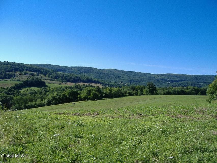 L2.112 Ploss Road, Richmondville, NY, photo 1