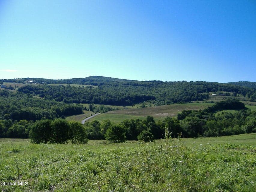 L2.112 Ploss Road, Richmondville, NY, photo 2