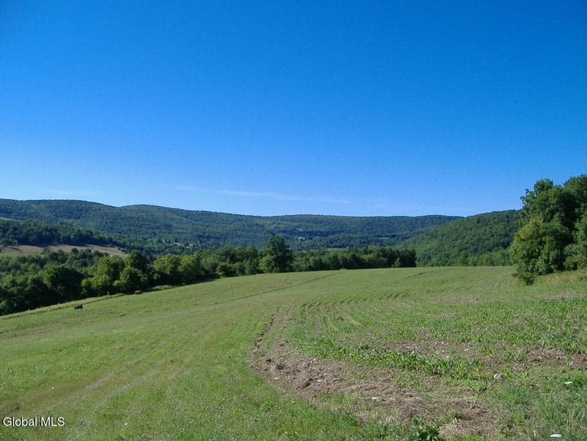 L2.112 Ploss Road, Richmondville, NY, photo 3