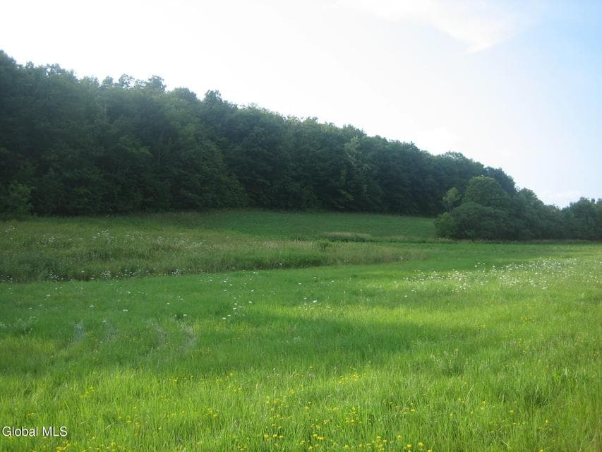L2.112 Ploss Road, Richmondville, NY, photo 4