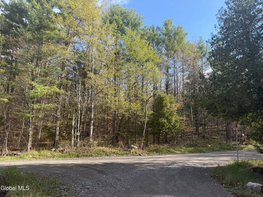 Lot 3,5.1, Stoney Lonesome Road, Crown Point, NY, photo 2