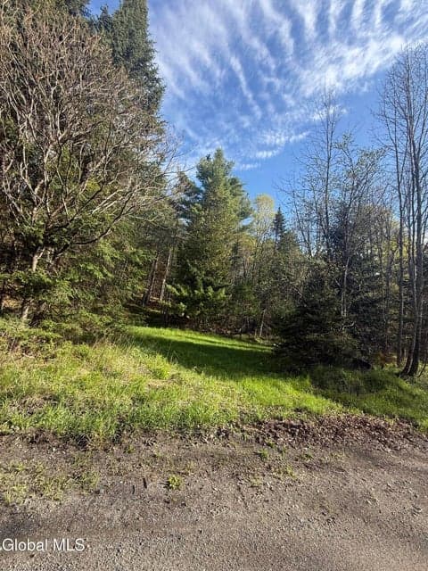 Lot 3,5.1, Stoney Lonesome Road, Crown Point, NY, photo 3