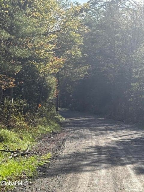 Lot 3,5.1, Stoney Lonesome Road, Crown Point, NY, photo 4