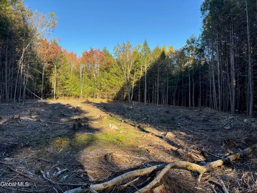 L1.112 Kipple Road, Sand Lake, NY