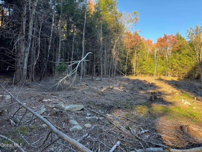 L1.112 Kipple Road, Sand Lake, NY, photo 2