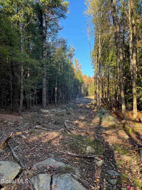 L1.112 Kipple Road, Sand Lake, NY, photo 4