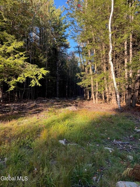 L1.112 Kipple Road, Sand Lake, NY, photo 5