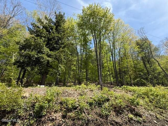 190 Stewart Road, Petersburgh, NY, photo 2