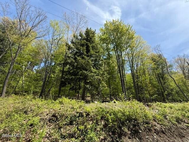 190 Stewart Road, Petersburgh, NY, photo 3