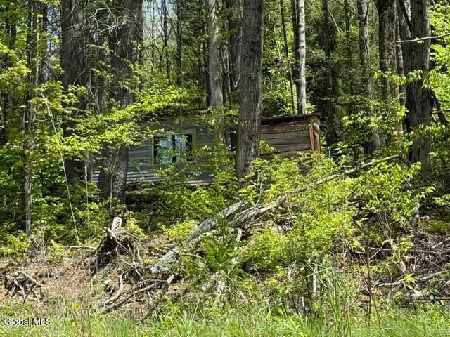 190 Stewart Road, Petersburgh, NY, photo 5