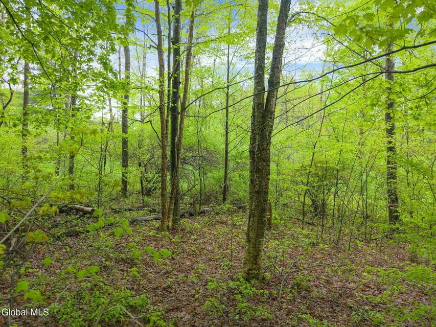 L4.112 Rocky Ridge Road, Charlton, NY, photo 2