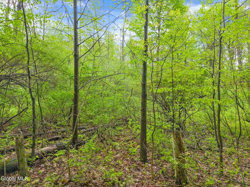 L4.112 Rocky Ridge Road, Charlton, NY, photo 3