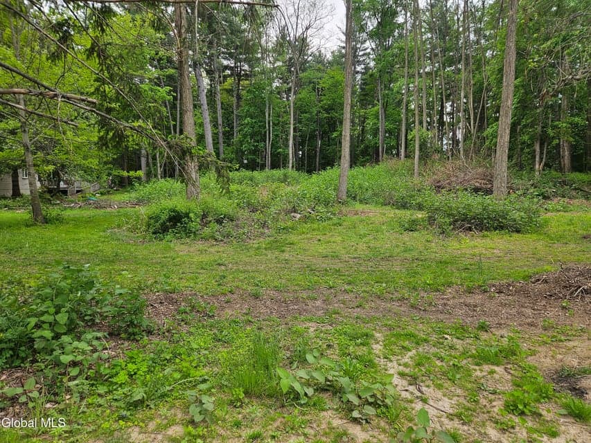 85 Willow Street, Guilderland, NY, photo 1
