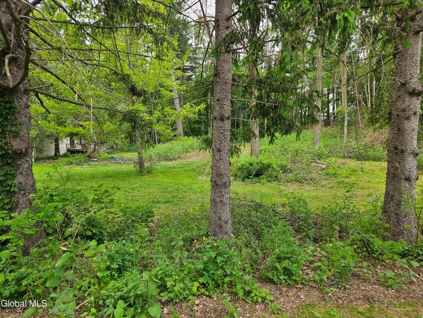85 Willow Street, Guilderland, NY, photo 3