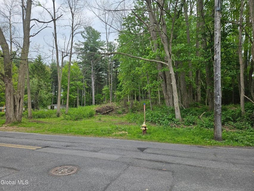 85 Willow Street, Guilderland, NY, photo 4