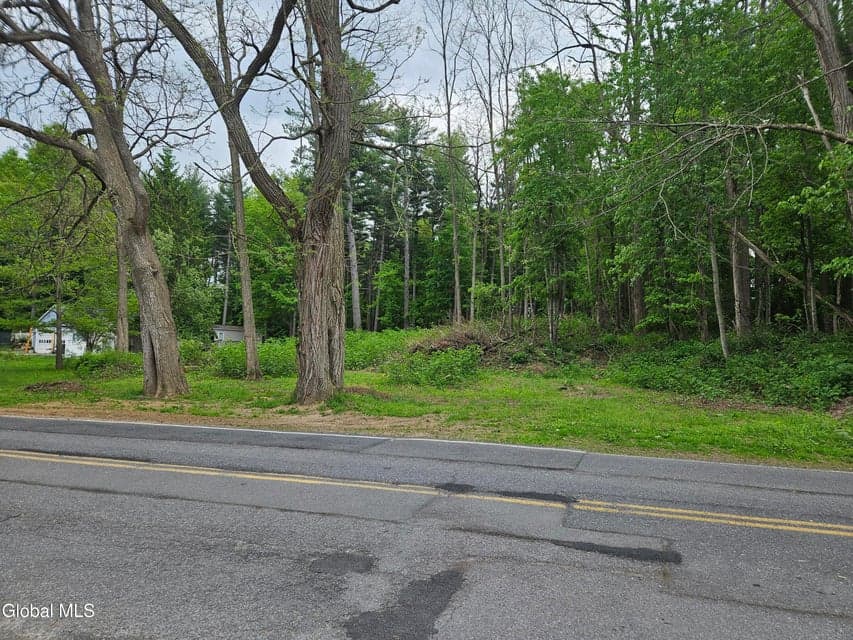 85 Willow Street, Guilderland, NY, photo 5