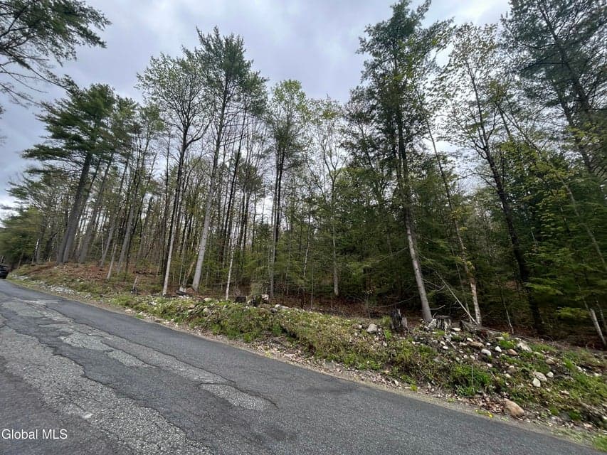 L46 Alder Brook Road, Horicon, NY, photo 2