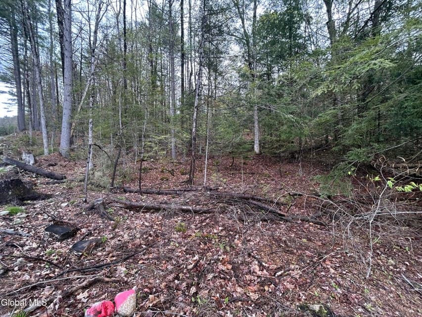 L46 Alder Brook Road, Horicon, NY, photo 4