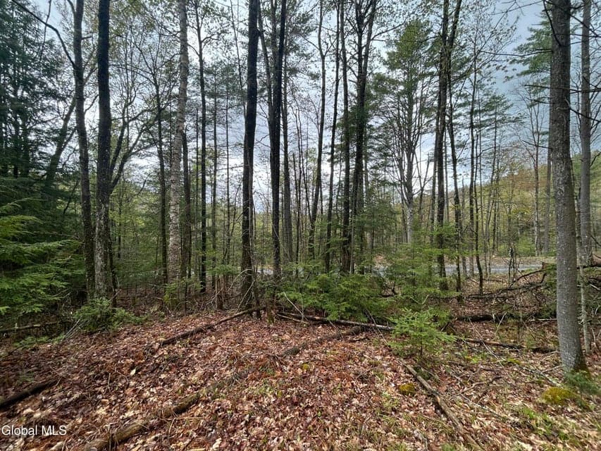 L46 Alder Brook Road, Horicon, NY, photo 5