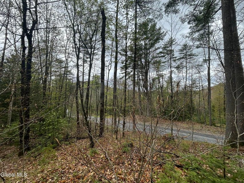 L46 Alder Brook Road, Horicon, NY, photo 1
