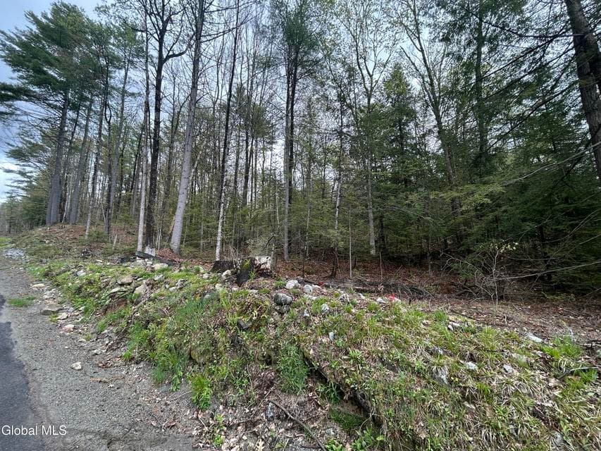 L46 Alder Brook Road, Horicon, NY, photo 3