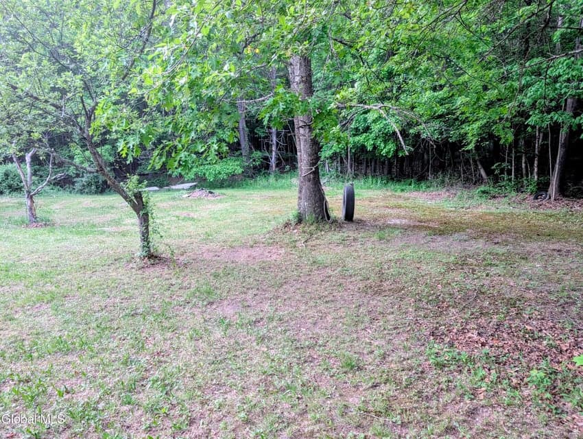 98 Primrose Lane, Cairo, NY, photo 3