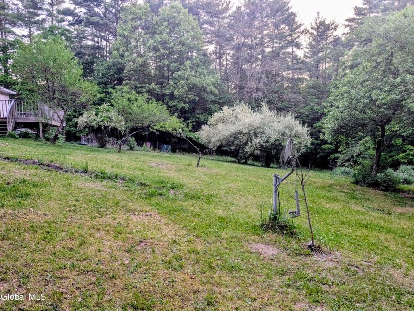 98 Primrose Lane, Cairo, NY, photo 4