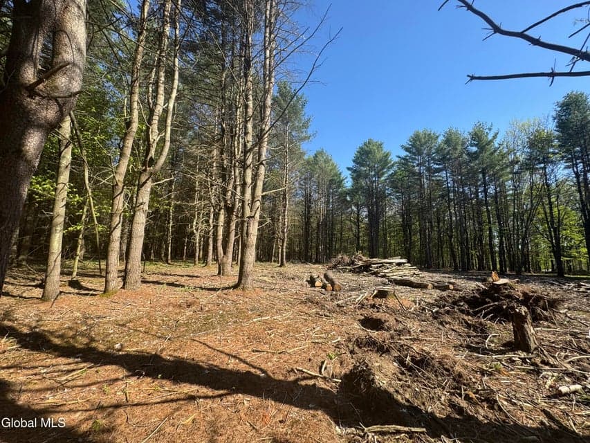 L33.05 Glimmerglen Road, Cooperstown, NY