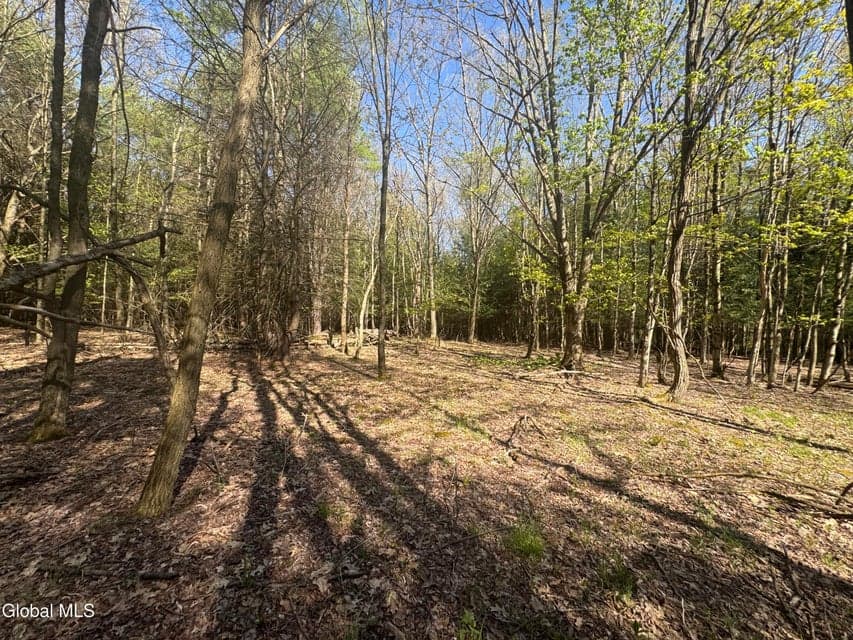 L33.05 Glimmerglen Road, Cooperstown, NY, photo 2