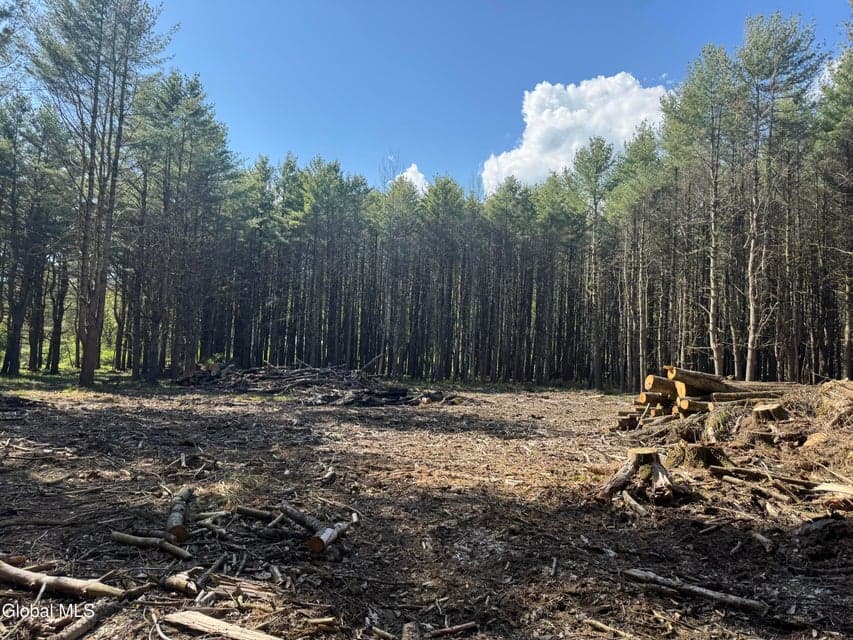 L33.05 Glimmerglen Road, Cooperstown, NY, photo 3