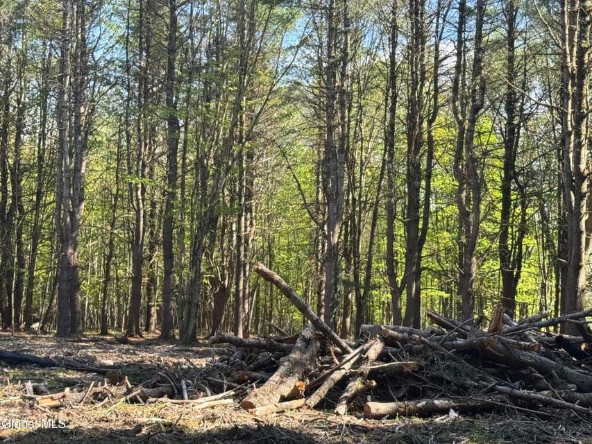 L33.05 Glimmerglen Road, Cooperstown, NY, photo 4