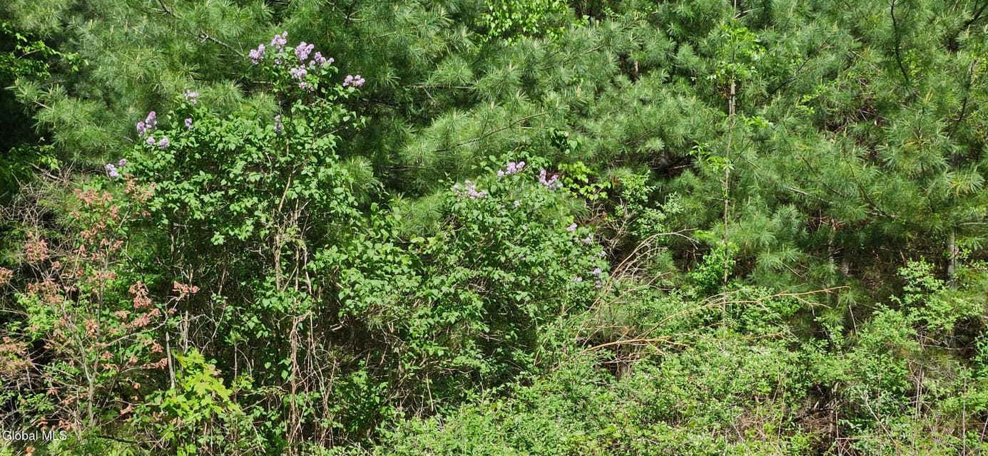 L 58.3 Howe Road, Greenfield, NY, photo 4