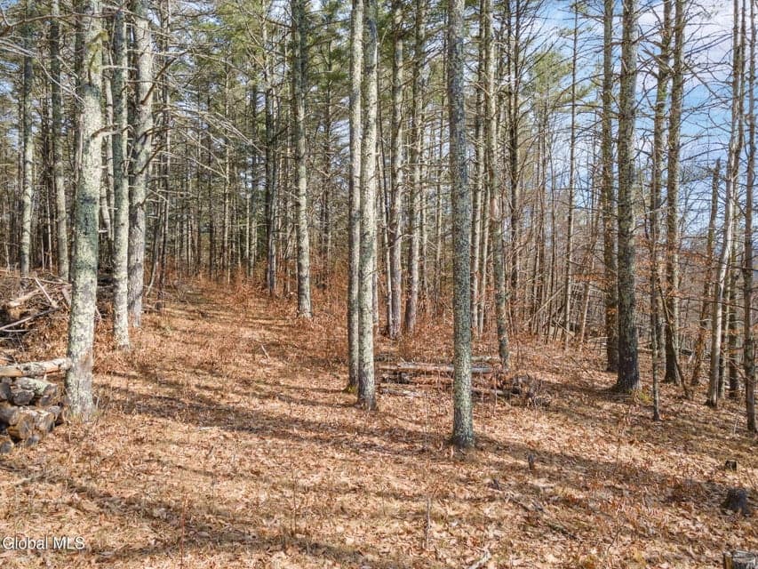 242 Tae Kwon Road, Blenheim, NY