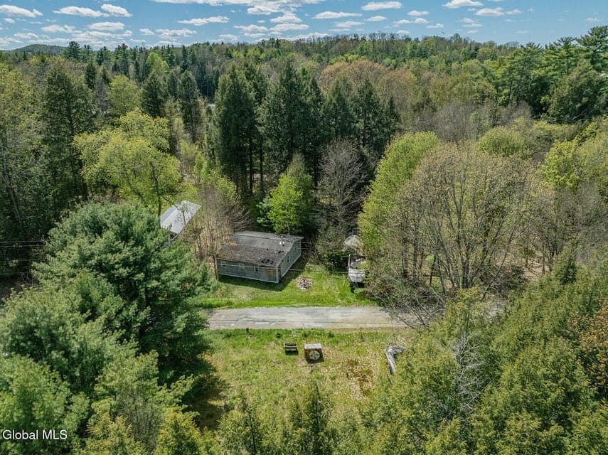 42 Battenkill Evergreens, Jackson, NY, photo 2