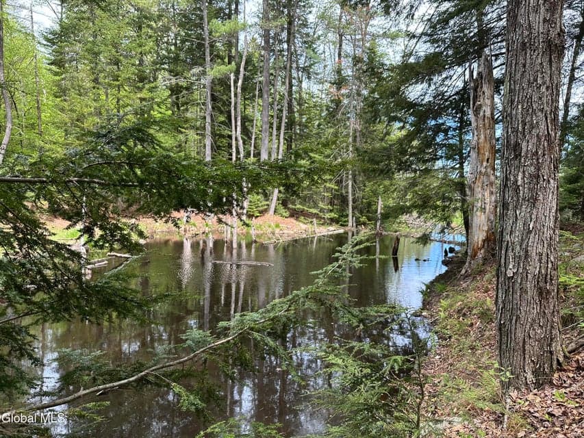 1070 Dartmouth Road, Thurman, NY, photo 4
