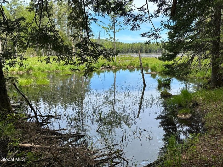 1070 Dartmouth Road, Thurman, NY, photo 2