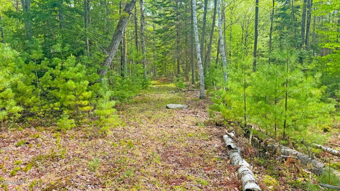 L9 Byrd Pond, Chester, NY, photo 3