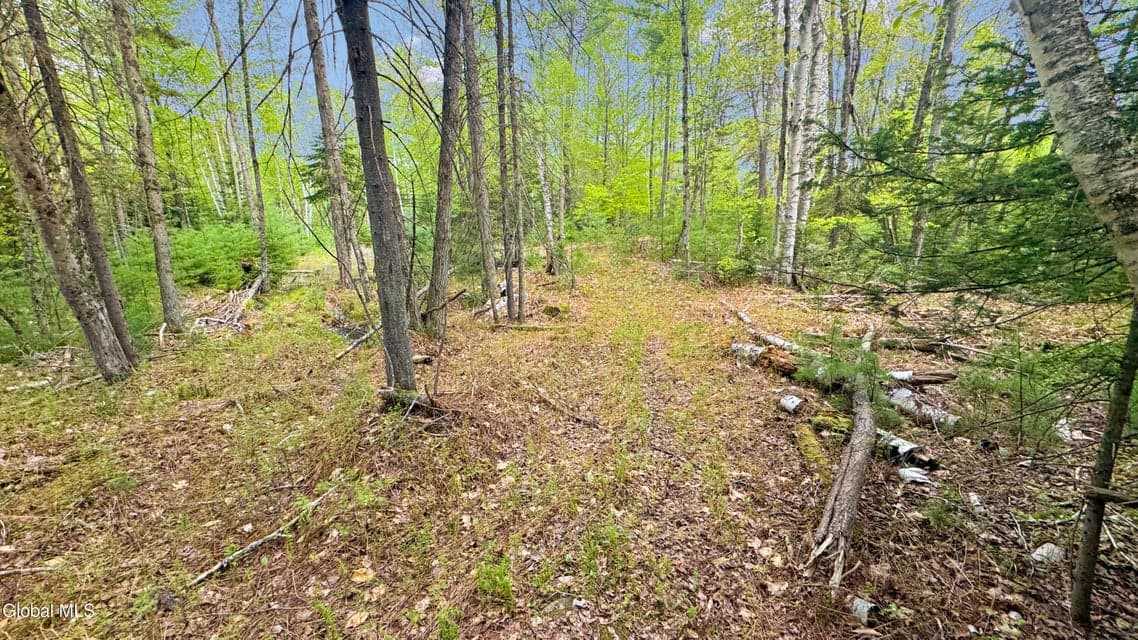 L9 Byrd Pond, Chester, NY, photo 5