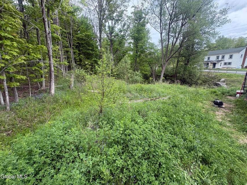 0 Mariaville Road, Duanesburg, NY, photo 1