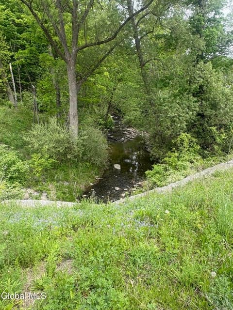 0 Mariaville Road, Duanesburg, NY, photo 5