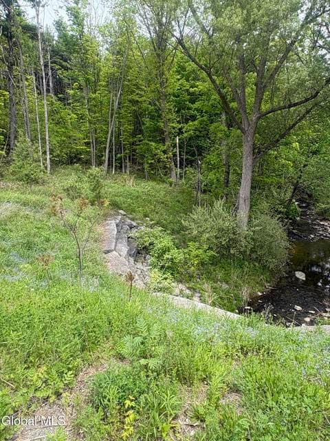 0 Mariaville Road, Duanesburg, NY, photo 4