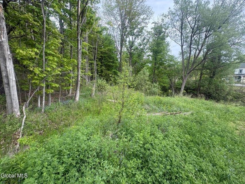 0 Mariaville Road, Duanesburg, NY, photo 2