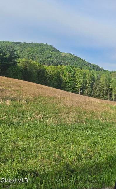 L15.14 Colby Road, Schoharie, NY, photo 2