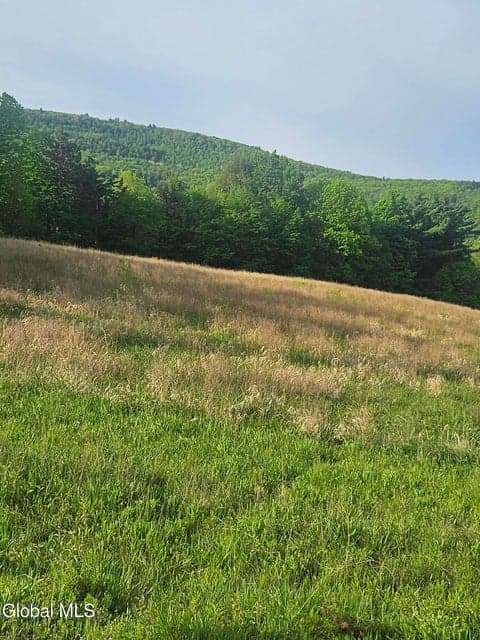 L15.14 Colby Road, Schoharie, NY